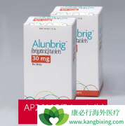 ����brigatinib֮�⻹����Щ����ALK���Ƽ���