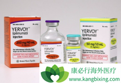 ���߼������Ƽ�CTLA-4����Yervoy�����û���