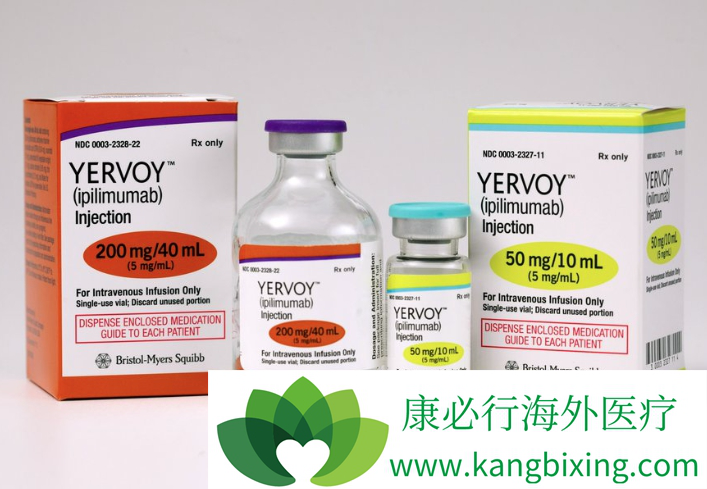 免疫检查点抑制剂 免疫检查点抑制剂