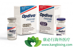 ��ֱ�������߿���ʹ��PD-1��������MEK���Ƽ�����