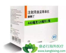 �����鵥��/����͡����������HER2�������ٰ���ת��