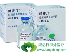 ���ٰ�ע��ҩ�����鵥��/����͡���ö�����ʺϣ�