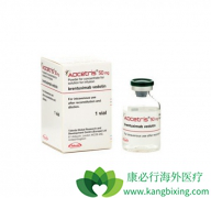 ����ż��ҩ��ADCETRIS��������ϵͳ�Լ���Դ�ϸ���ܰ���