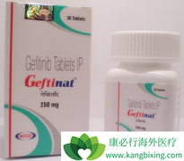 EGFR-TKI�Ȱ�������ҩ���Ѿ���Ϊ��Сϸ���ΰ��ı�׼���Ʒ���֮һ