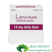 �ַ�����(Lenvatinib)�Ըΰ��Ŀ�����������������