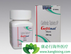 ����ɳ(GEFINAT)��ҩ����Ӧ����������չ����ѡ�����Ʒ���