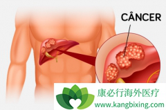 һ�߰���������ҩ�Ļ��߿���ֱ�ӳ�Lorlatinib��