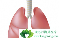 EGFR���Էΰ������������޿�(GRLONAT)��������Ч����ô����