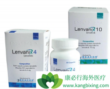 �����������ַ������ܷ��ӱȵ�ҩ���Ƹ��õ�Ч��