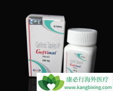 EGFRͻ��ķ�Сϸ���ΰ����߿�ʹ�õ�ҩ���м���������������