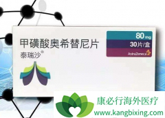 ������EGFR���Ƽ���ϣ���ᣨAZD9291���ǲ������TKI