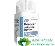 CDK4/6���Ƽ��߰������������ٰ�����Щ������