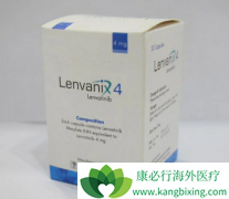 �̿������ķ��ư��ַ�����(Lenvanix)�����б�����