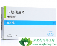 ���������Ȱ�ɳ�������ʺ�ֱ�������¸����Ż���