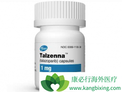 ȫ��PARP���Ƽ�Talzenna�ǽ��ڻ��������ٰ�����ҩ��֮һ