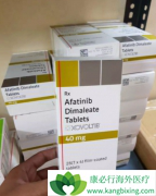 ��������������鵥�����ƽ�չ�Ļ�����Ч��Σ�