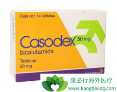 ������ǰ���ٰ��������˽�ıȿ�³��ע����������Щ��