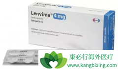 �ַ�����(Lenvanix)����������ٴ�����͸ΰ����߻���