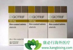 �����������������������Ͽ�ʹ��EGFR���Ƽ��ķΰ����߻���