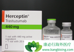 �����鵥�����ϻ�����HER-2�������ٰ����ߵı�׼�������Ʒ���