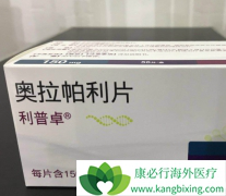 �������е�PARP���Ƽ�����������������������ٰ���