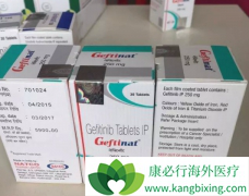 ӡ������ɳ(GEFINAT)�ڹ��ڵ��ٴ�������Ч������