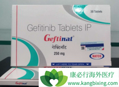 ��ӡ������ɳ(GEFINAT)���������ٰ���