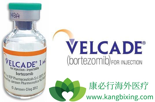 硼替佐米 硼替佐米