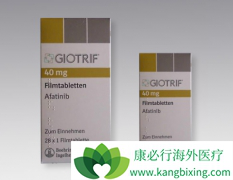 ��������(AFATINIB)��EGFR��HER2������θʳ�ܰ�������Ч����