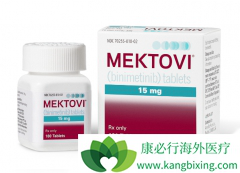 Mektovi����Braftovi��������V600K���Ե�ת���Ժ�ɫ��������