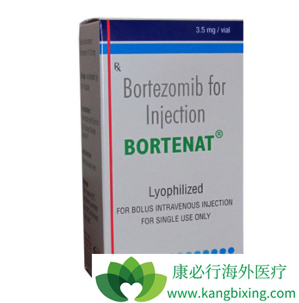 硼替佐米 硼替佐米