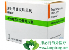 �����������鵥��(trastuzumab)���඾�Ե�Σ������