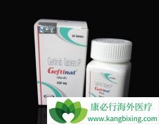 һ��EGFR-TKI�����������Ʒ�Сϸ���ΰ���ת���ߵ�Ч����ô����