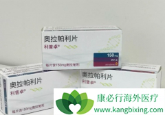 �ѳ���PARP���Ƽ����˰�������֮�⻹����Щ��