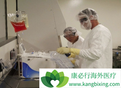 CAR-Tϸ�����ƿ�������ĸ���������Щ��