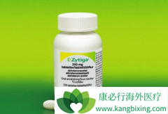 ӡ�Ȱ�������������ҩ��ɷֻ�����Ч�϶���ԭ��һ��