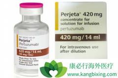 ���������������鵥��(Perjeta)��ʱ�����ҹ��������ƣ�