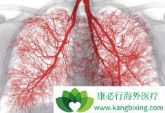 ��������(alectinibum)����Ч�ڳ��������ڼ��Ƿ���Գ�����