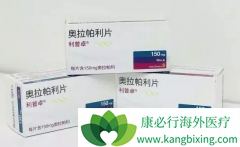 PARP���Ƽ������������ϰ�����������ǰ���ٰ���Ч����