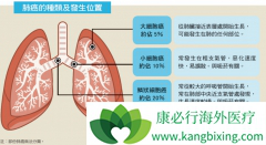 Сϸ���ΰ�Ŀǰ����ʹ������������