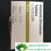 ʳ������ջ�԰�������(Afatinib)����Ч����Ӱ��