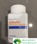 ��ҩ�������ɫ������(Ceritinib)�ȿ����������ʮ������