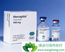 �����鵥�����ϻ���12���Ʒ���HER-2�������ٰ�����ѡ֮һ��