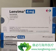 �ַ�����(Lenvatinib)�׸����ư汾�����ϼ����̿�������