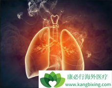 �������׻��������߷ΰ����󸴷��ļ���