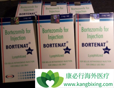 ������������/�������������и�Σ�߼���������ֲ�����