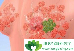 ������������ҩORAPANI���������͵����ٰ�������Ч��