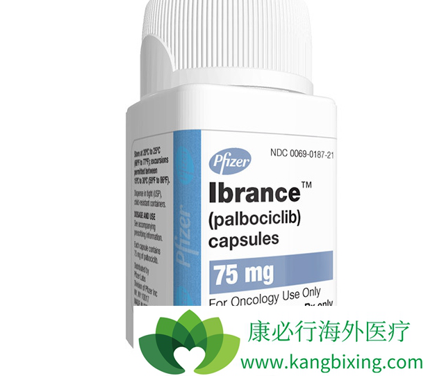 帕博西尼 帕博西尼