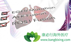 ��������ɹ��������FDA��ALK�ΰ�ͻ�����Ʒ��ĵ�λ