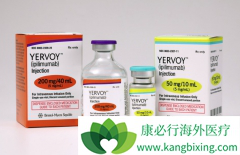 CTLA-4�����Կ���Ipilimumab���ƺ�ɫ�������ߵ�Ч����ô����